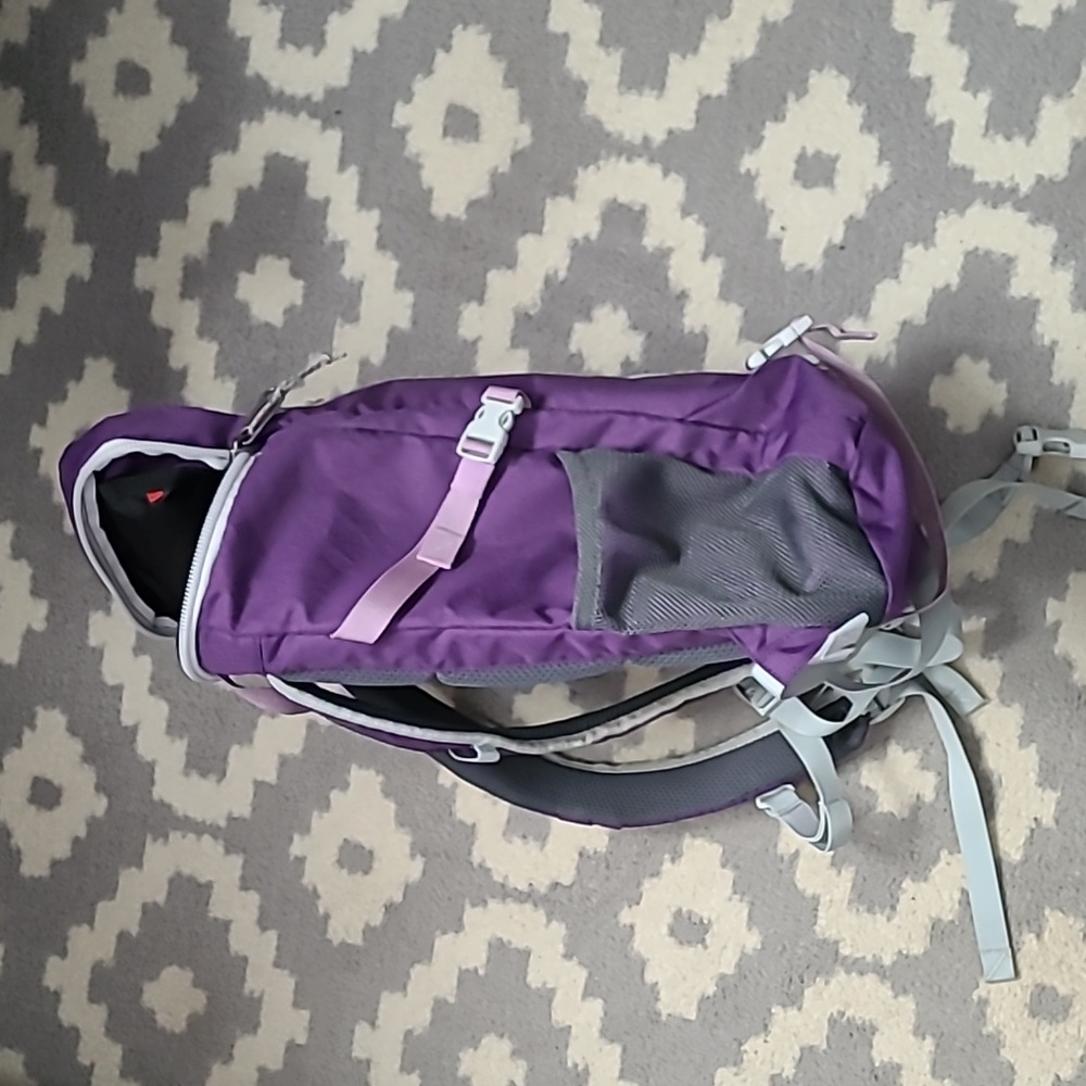 Backpack - Picture 4 of 7